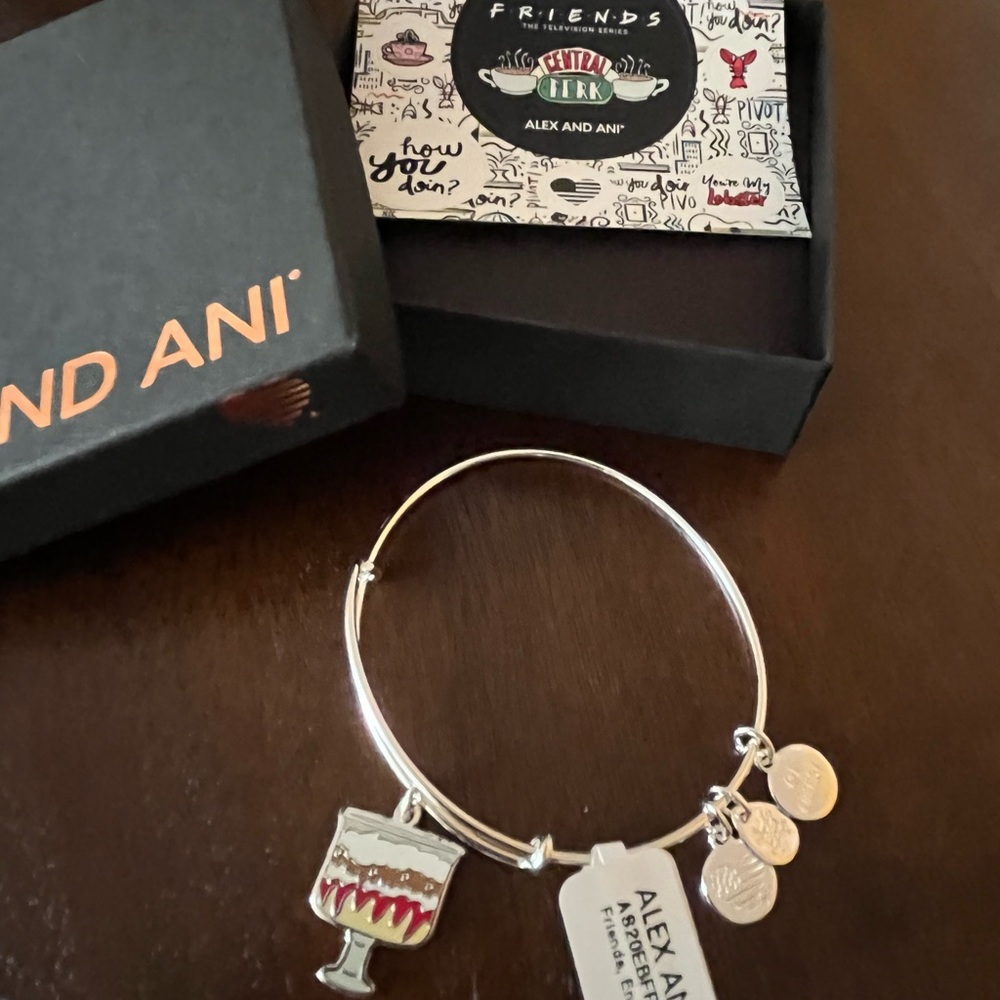 Alex and ANI Bracelet -Friends
